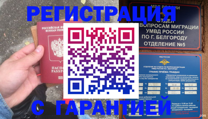 временная регистрация для всех в Светлогорске